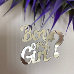 Изображение Боковой топпер BOY or GIRL (серебро), 11 см